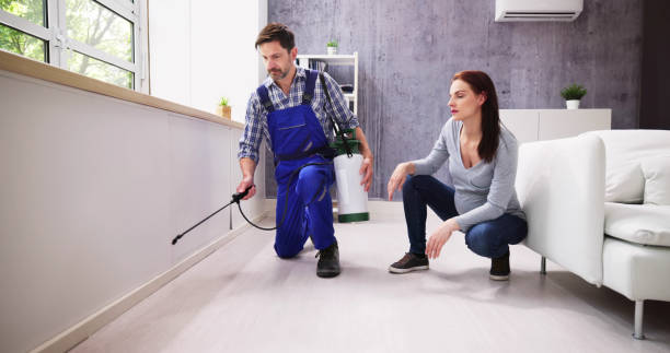 Best Residential Pest Control  in Herricks, NY